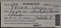 Image Associated With the Occurence